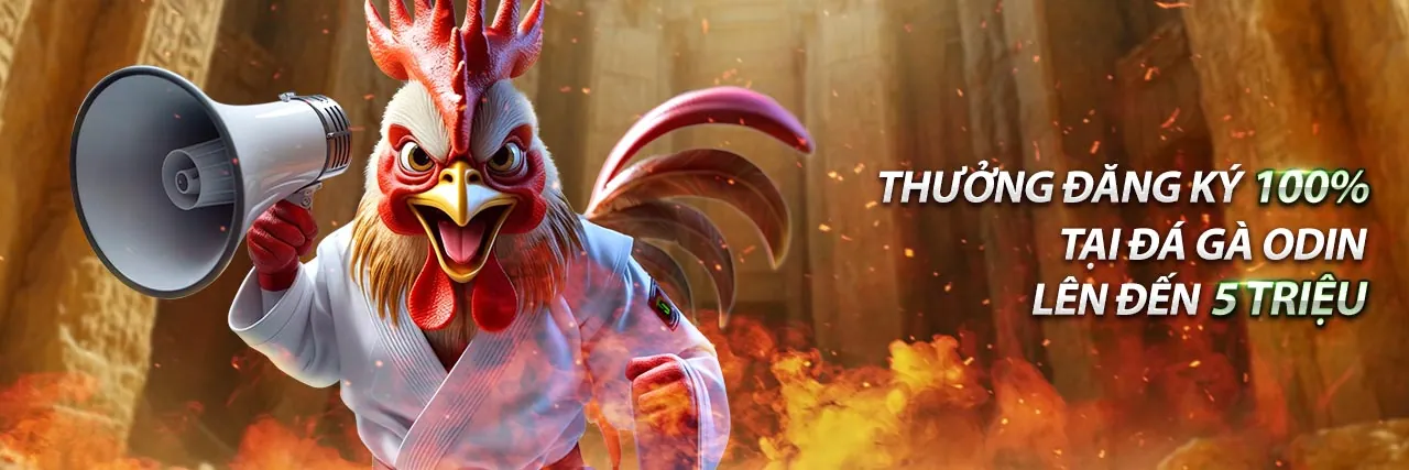 Hướng dẫn tham gia chương trình VIP TF88 Nha Cai